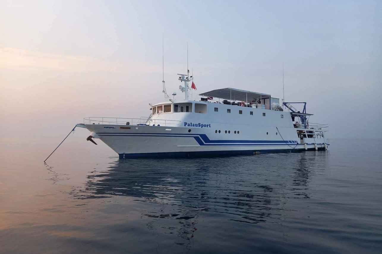 Palau Sport