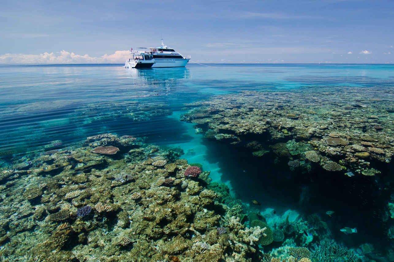 Pro Dive Cairns