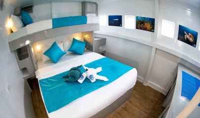 Deluxe Cabin (N1 - N2)