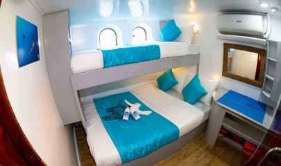Standard Cabin - Lower Deck (N3 - N4)