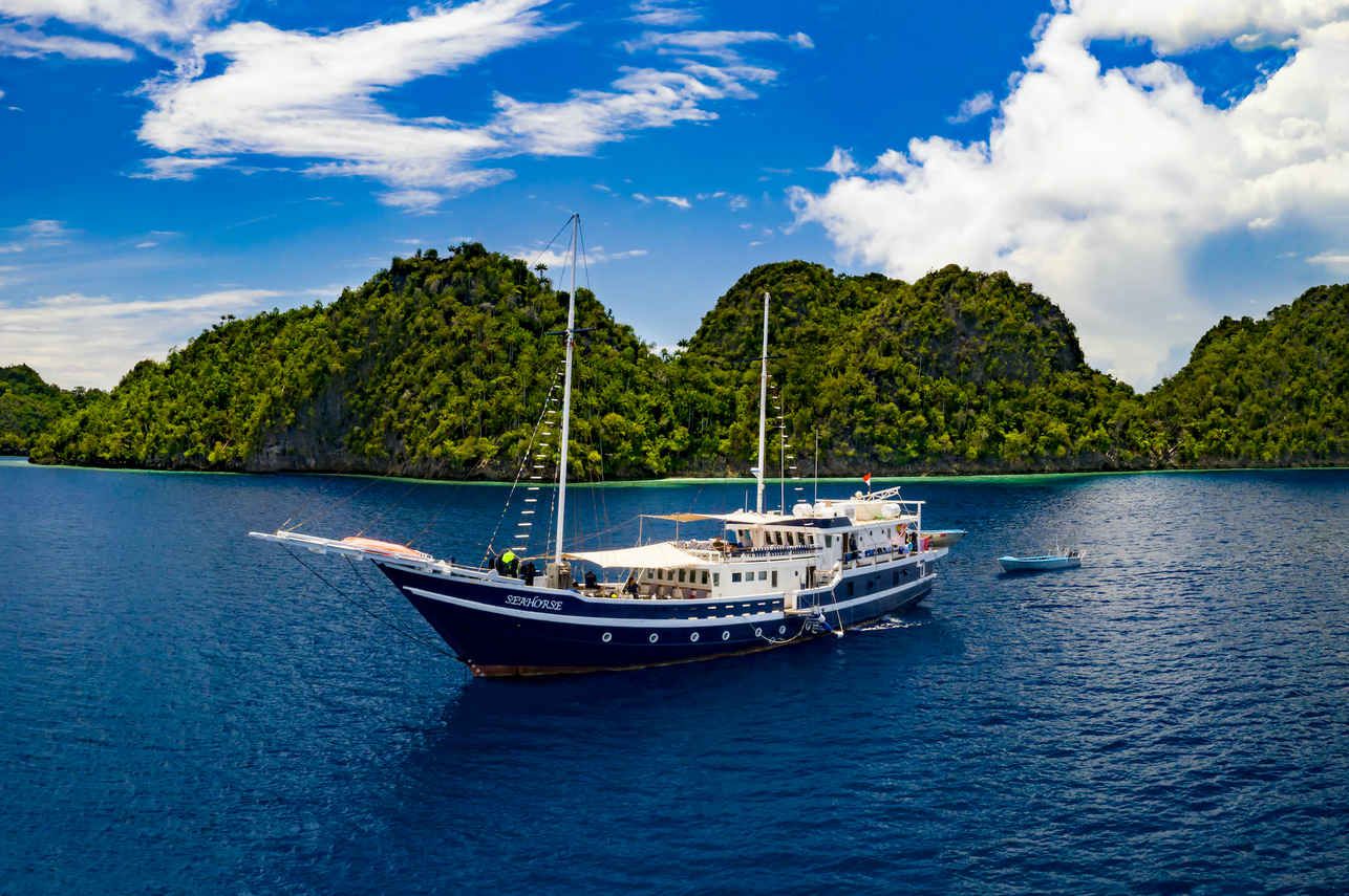 Seahorse liveaboard – Indonesia