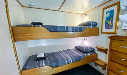 Budget Cabin