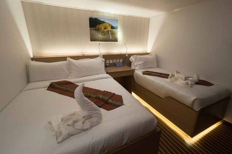 Lower Deck Double/Twin Cabins