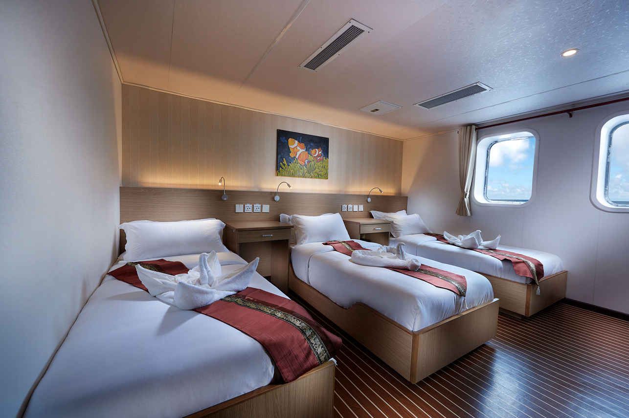 Main Deck Cabins